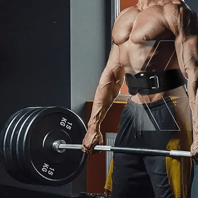 ceinture pour la musculation fermeture ajustable