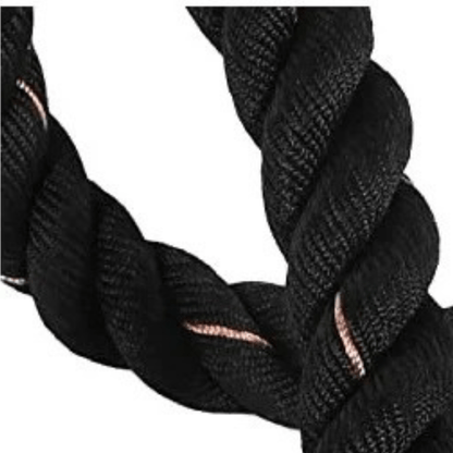 corde sauter lestée professionnelle fitness cardio performance crossfit